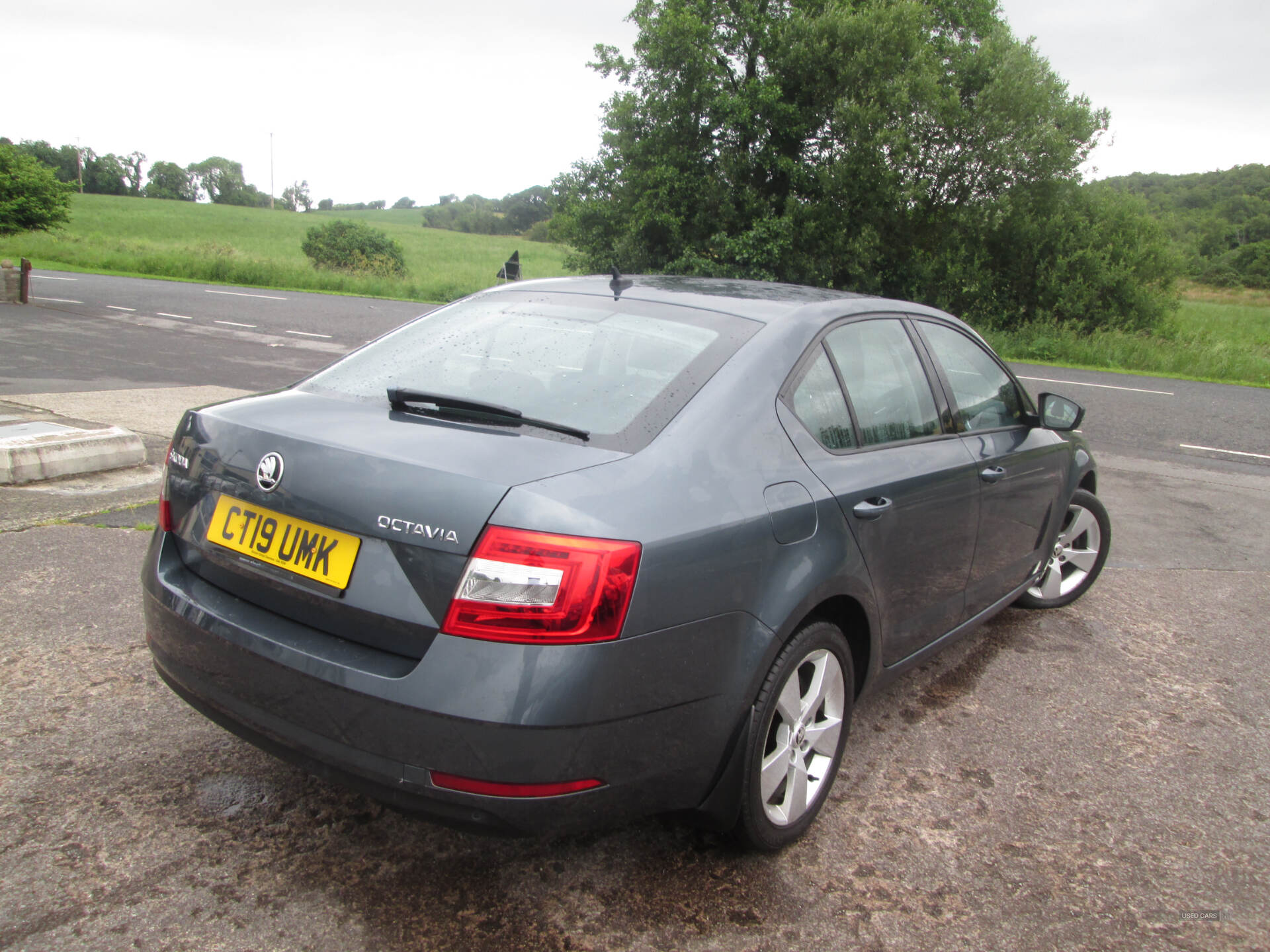 Skoda Octavia DIESEL HATCHBACK in Fermanagh
