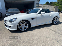 Mercedes SLK-Class DIESEL ROADSTER in Down