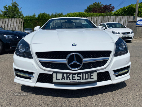 Mercedes SLK-Class DIESEL ROADSTER in Down