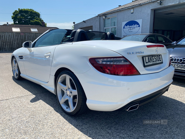 Mercedes SLK-Class DIESEL ROADSTER in Down