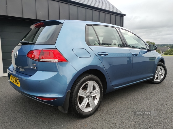 Volkswagen Golf DIESEL HATCHBACK in Armagh