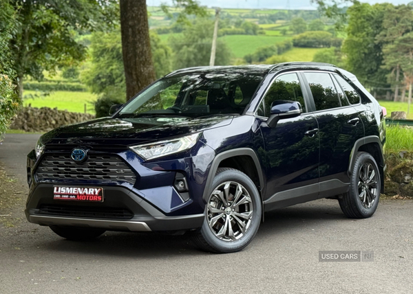 Toyota RAV4 ESTATE in Antrim
