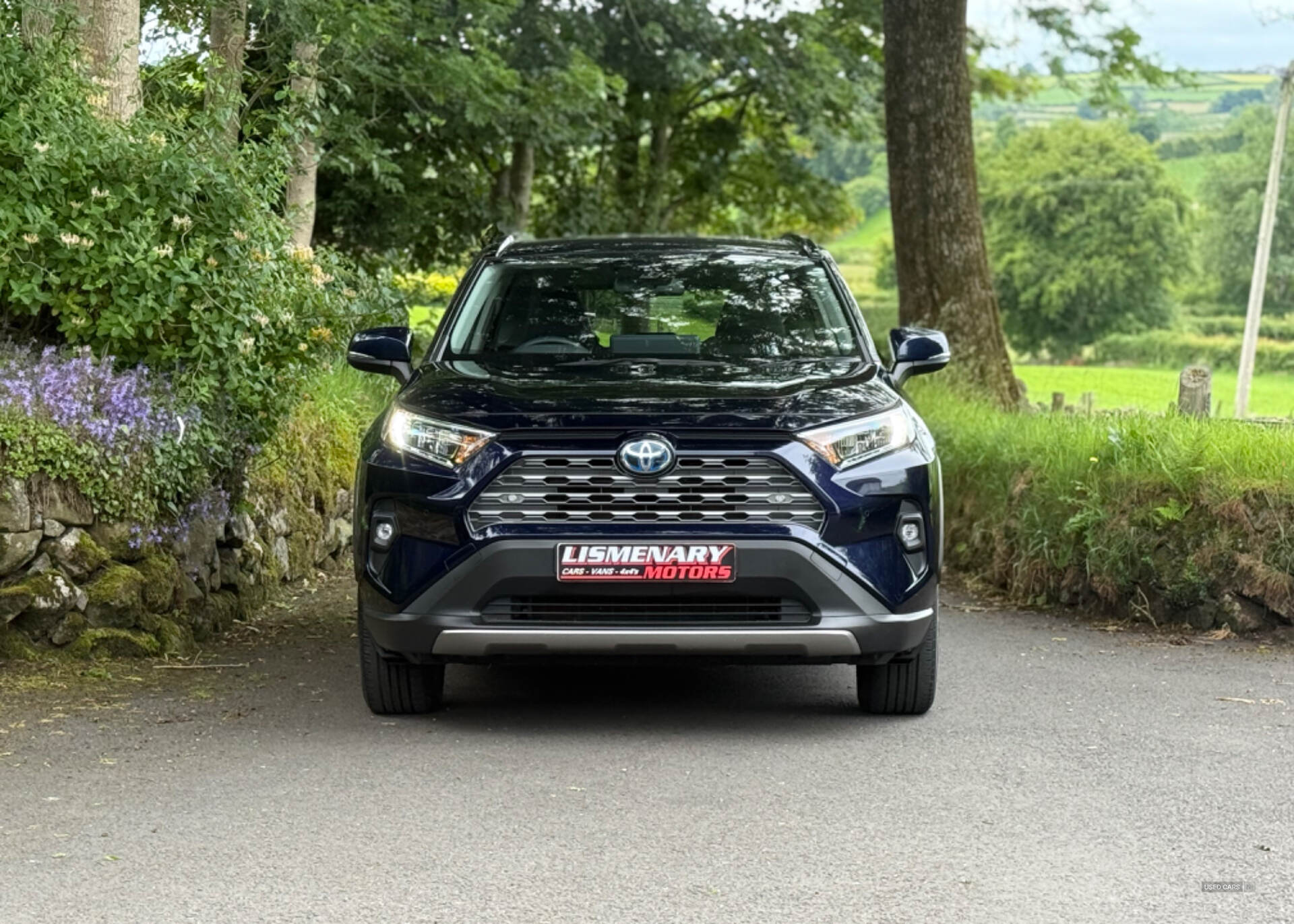 Toyota RAV4 ESTATE in Antrim