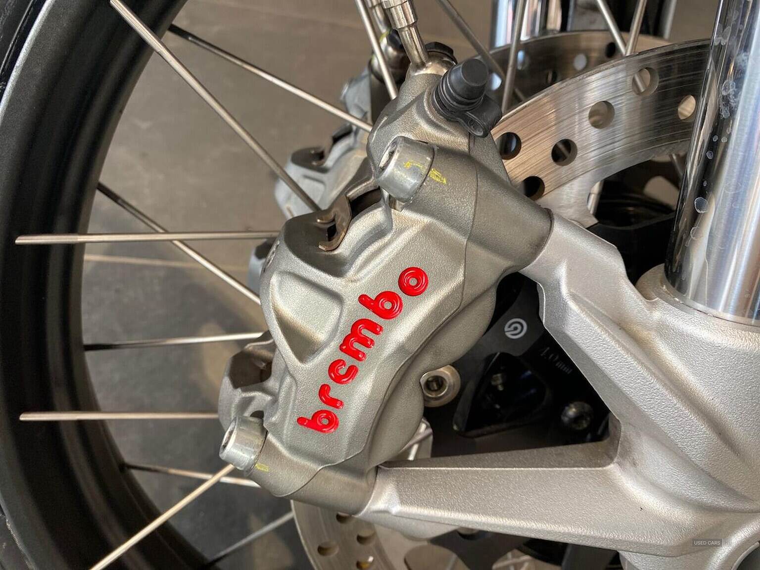 2022 Ducati DESERT X Desert X (22My)