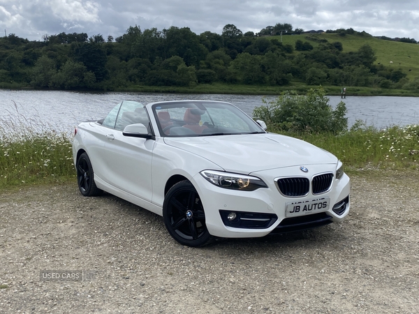BMW 2 Series DIESEL CONVERTIBLE in Derry / Londonderry