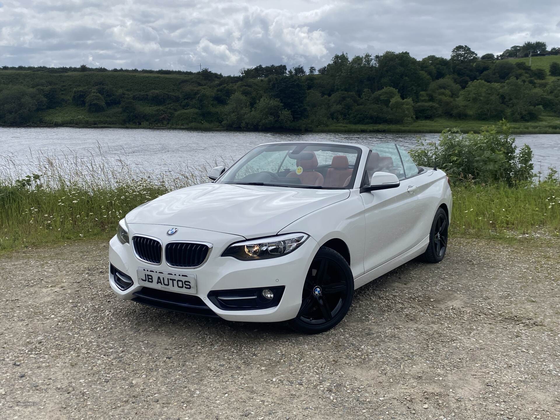 BMW 2 Series DIESEL CONVERTIBLE in Derry / Londonderry