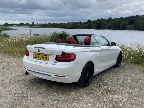 BMW 2 Series DIESEL CONVERTIBLE in Derry / Londonderry