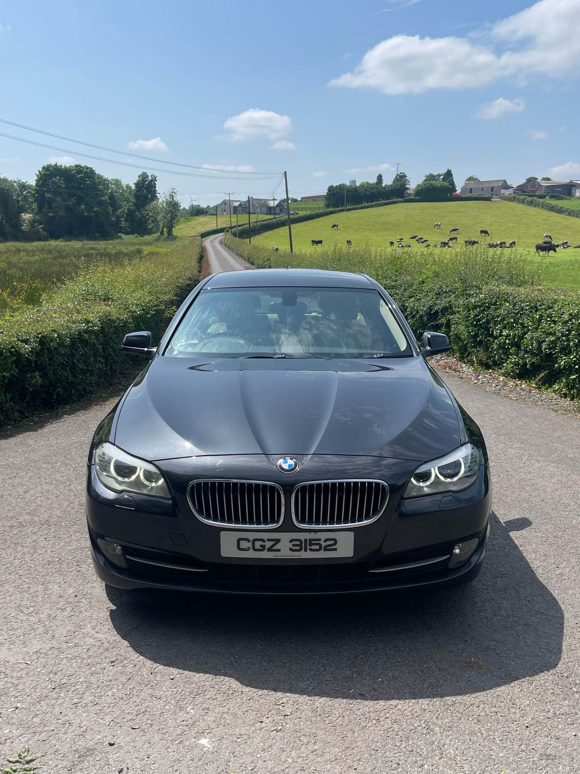 Jun 2013 BMW 5 Series 520d SE 4dr
