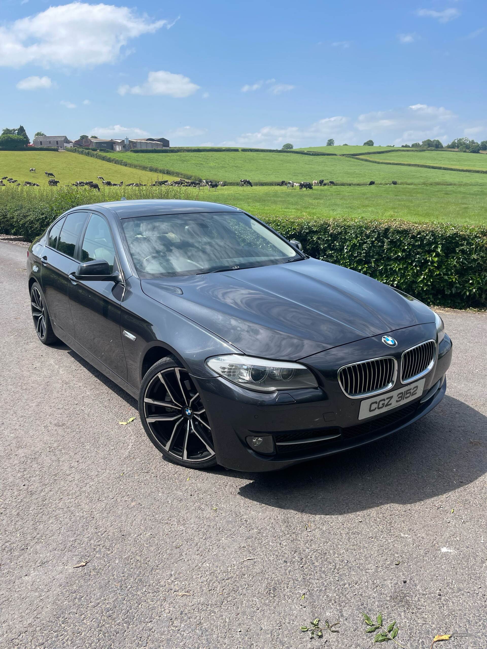 Jun 2013 BMW 5 Series 520d SE 4dr