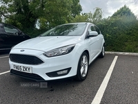 Ford Focus 1.5 TDCi 120 Zetec 5dr in Antrim