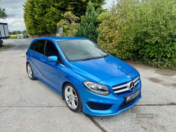 Mercedes B-Class DIESEL HATCHBACK in Down