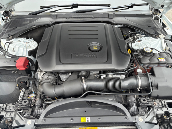 Jaguar XF DIESEL SALOON in Antrim