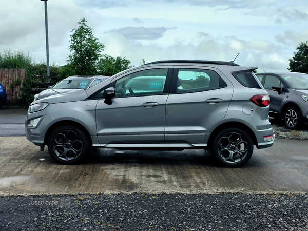 Ford EcoSport HATCHBACK in Fermanagh
