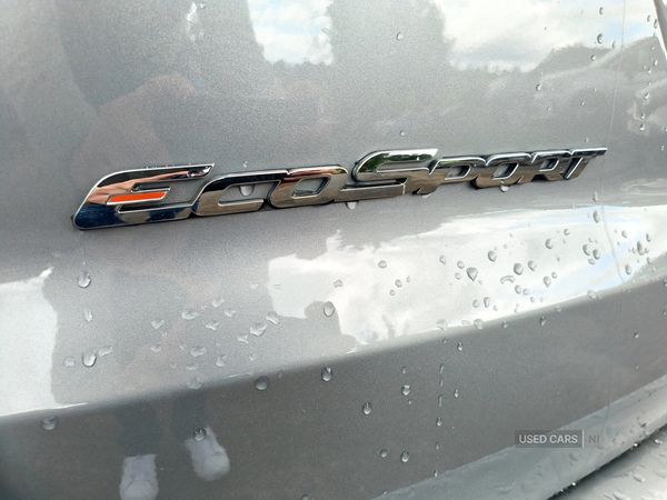 Ford EcoSport HATCHBACK in Fermanagh