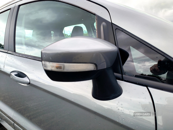 Ford EcoSport HATCHBACK in Fermanagh