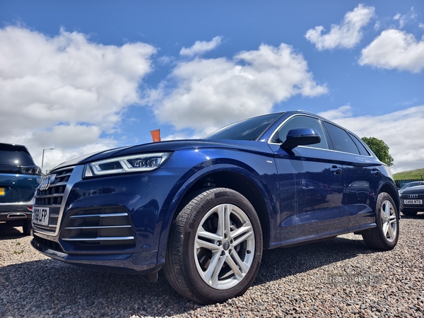 Audi Q5 DIESEL ESTATE in Fermanagh