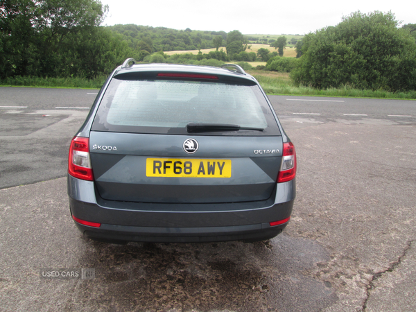 Skoda Octavia ESTATE in Fermanagh