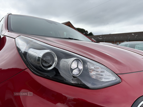 Kia Sportage ESTATE in Down