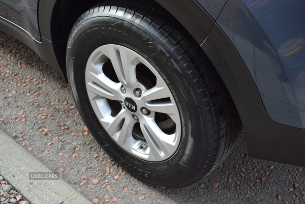 Kia Sportage ESTATE in Antrim