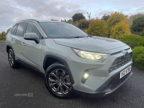 Toyota RAV4 ESTATE in Tyrone