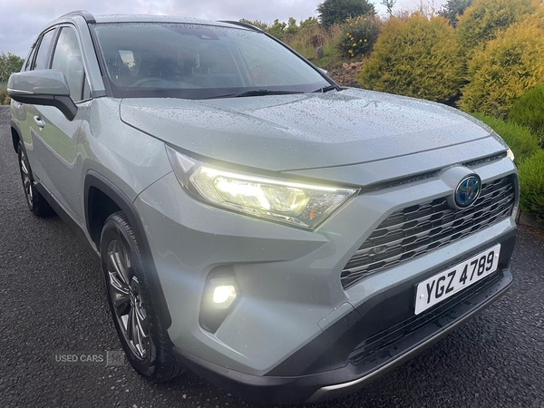 Toyota RAV4 ESTATE in Tyrone