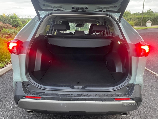 Toyota RAV4 ESTATE in Tyrone