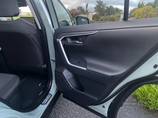 Toyota RAV4 ESTATE in Tyrone
