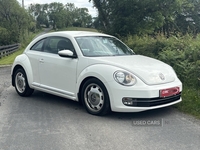 Volkswagen Beetle DIESEL HATCHBACK in Tyrone