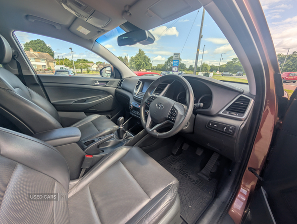 Hyundai Tucson SPECIAL EDITIONS in Armagh