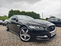Jaguar XE DIESEL SALOON in Fermanagh