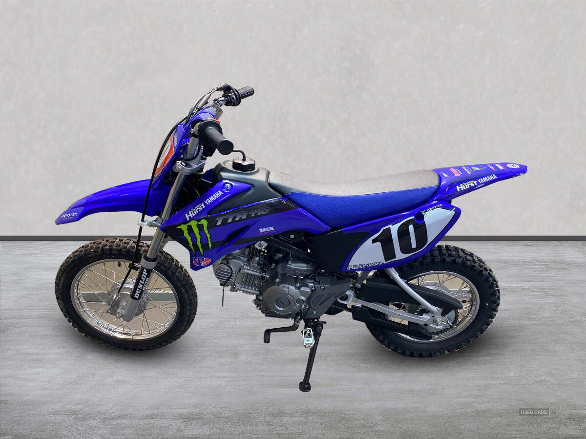  2024 Yamaha TTR Series New TTR-110 24MY, Monster Edition