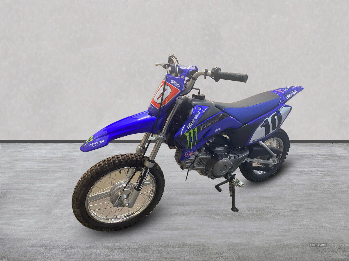  2024 Yamaha TTR Series New TTR-110 24MY, Monster Edition