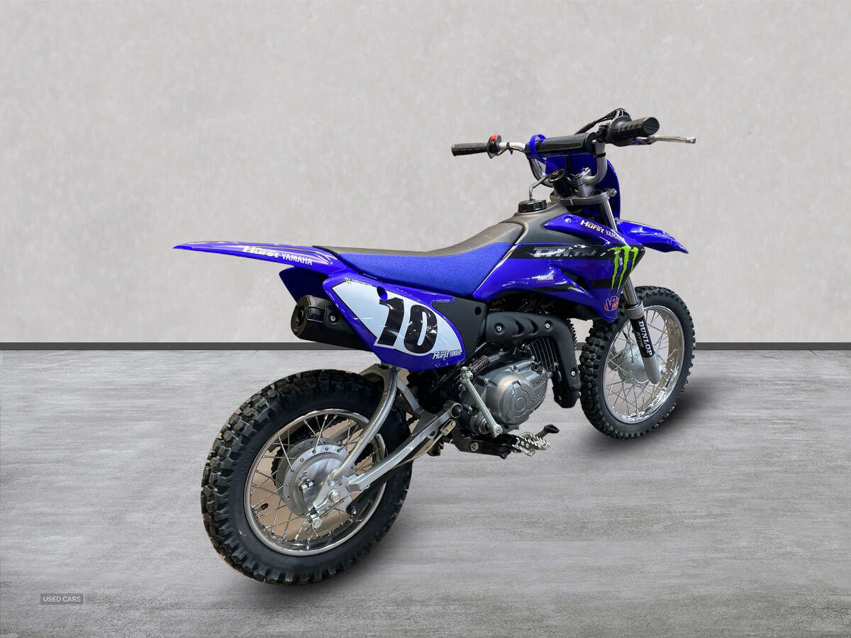  2024 Yamaha TTR Series New TTR-110 24MY, Monster Edition