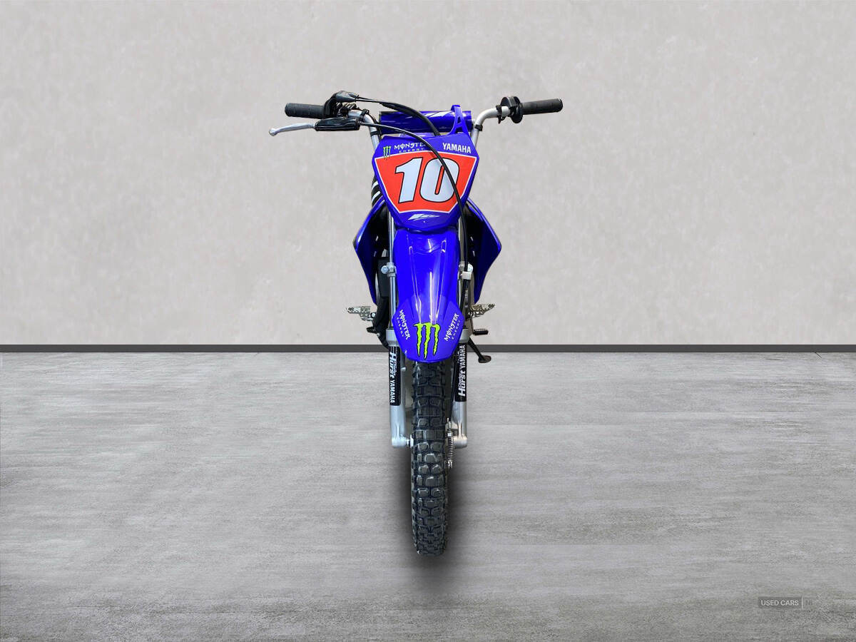  2024 Yamaha TTR Series New TTR-110 24MY, Monster Edition