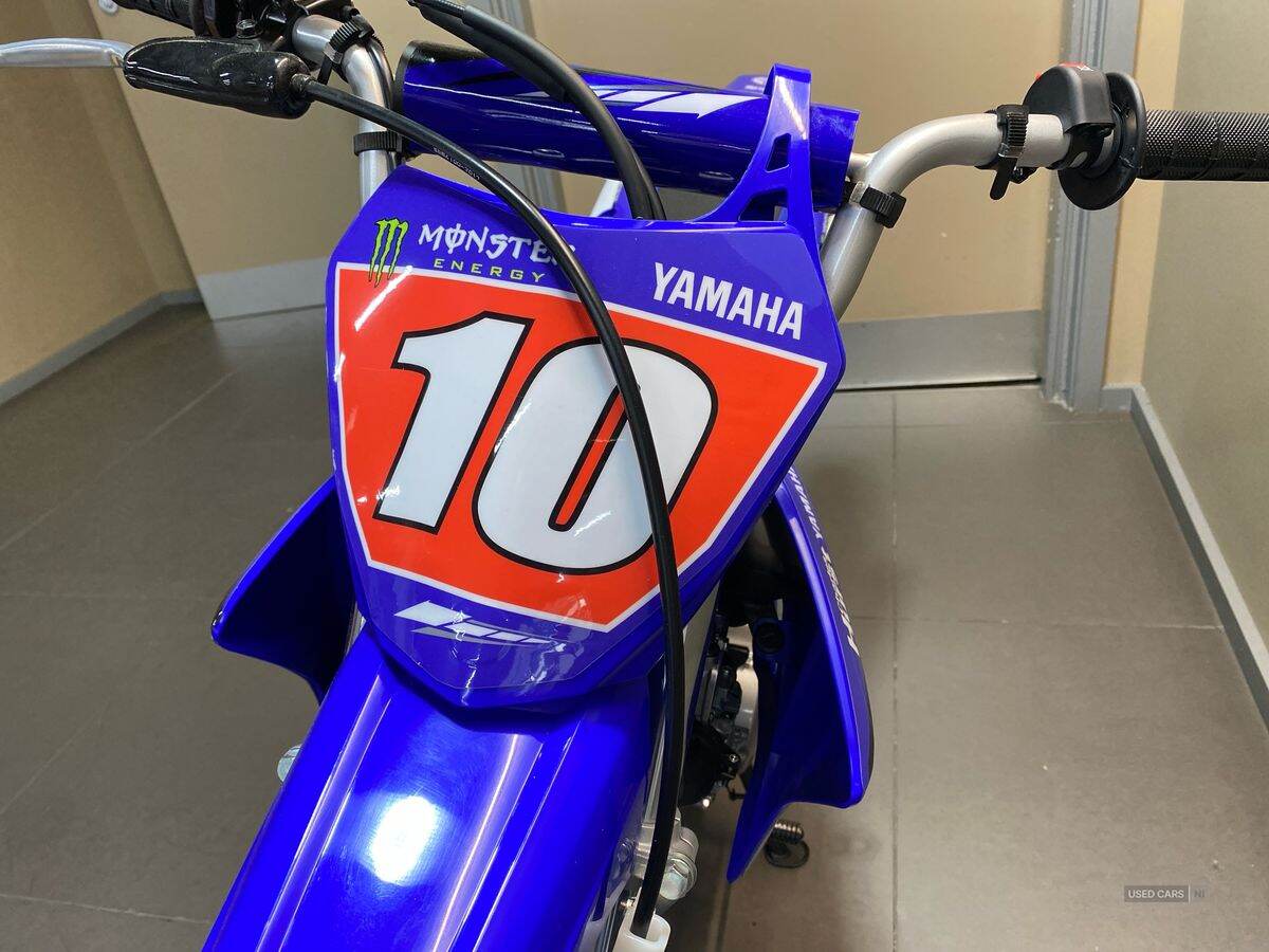  2024 Yamaha TTR Series New TTR-110 24MY, Monster Edition