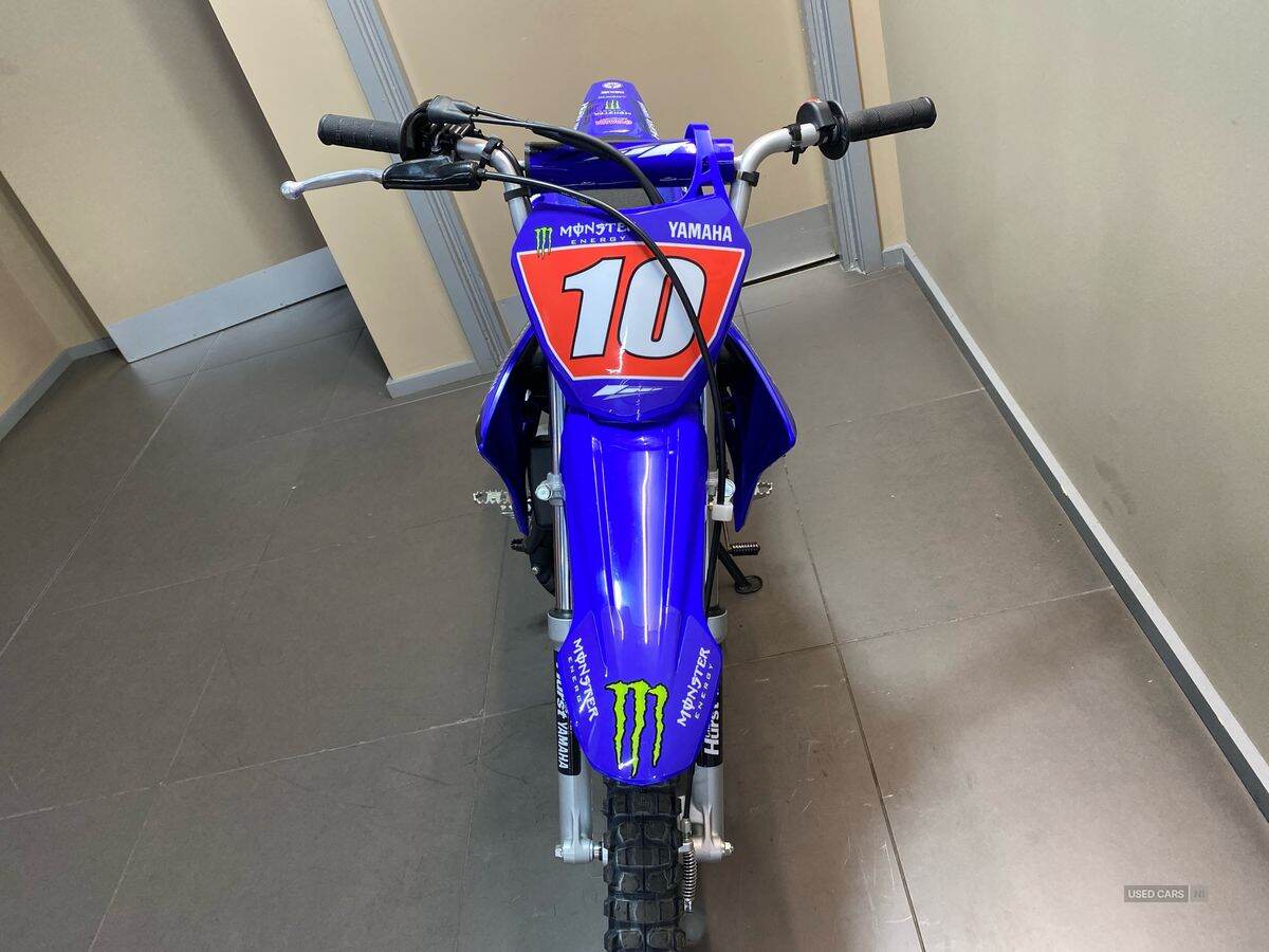  2024 Yamaha TTR Series New TTR-110 24MY, Monster Edition