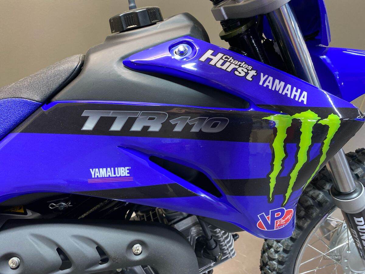  2024 Yamaha TTR Series New TTR-110 24MY, Monster Edition