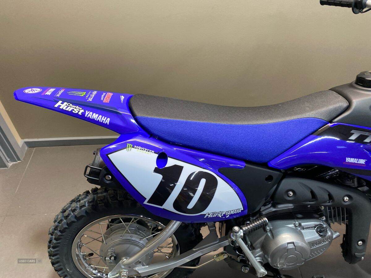  2024 Yamaha TTR Series New TTR-110 24MY, Monster Edition