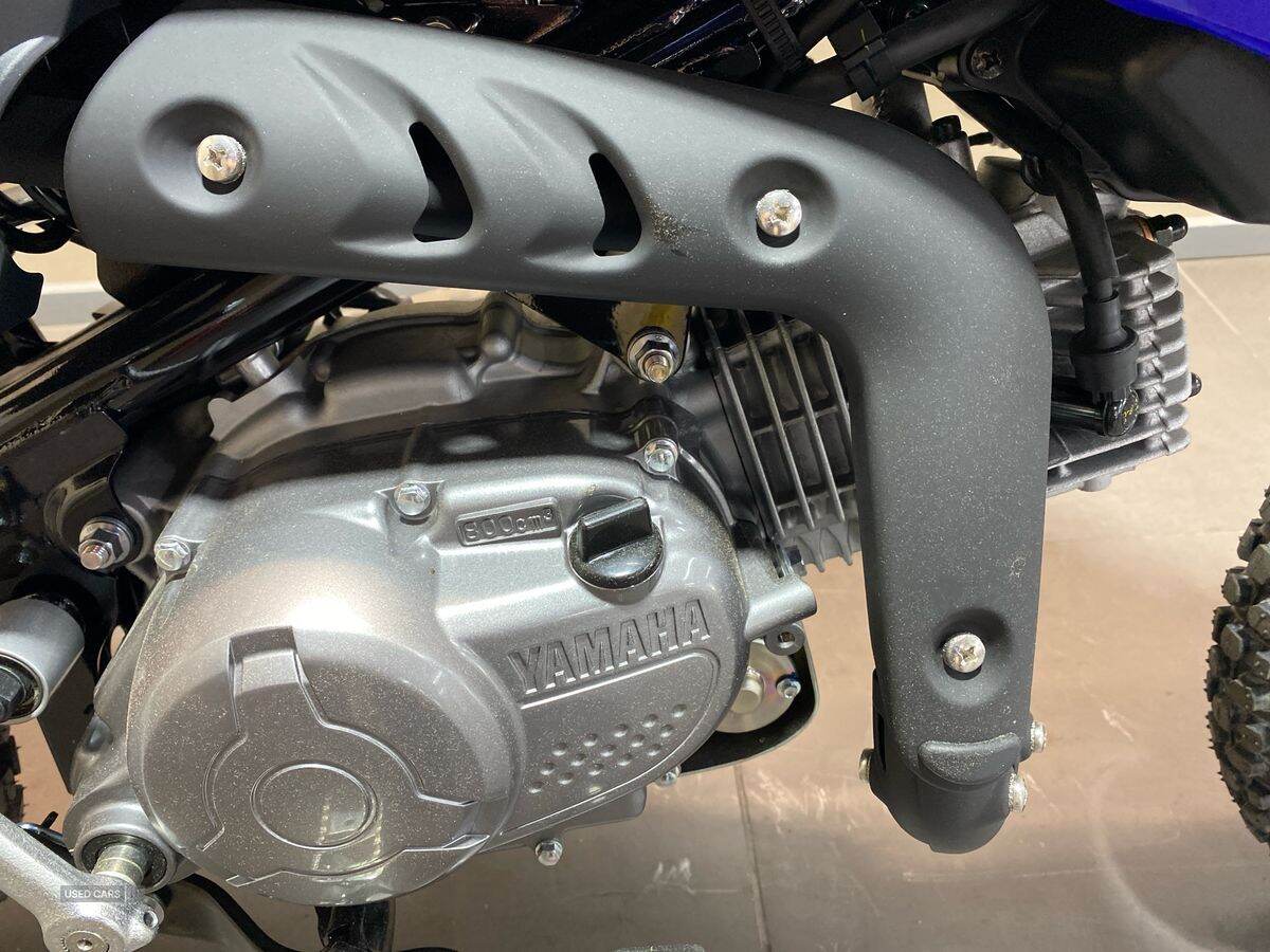  2024 Yamaha TTR Series New TTR-110 24MY, Monster Edition