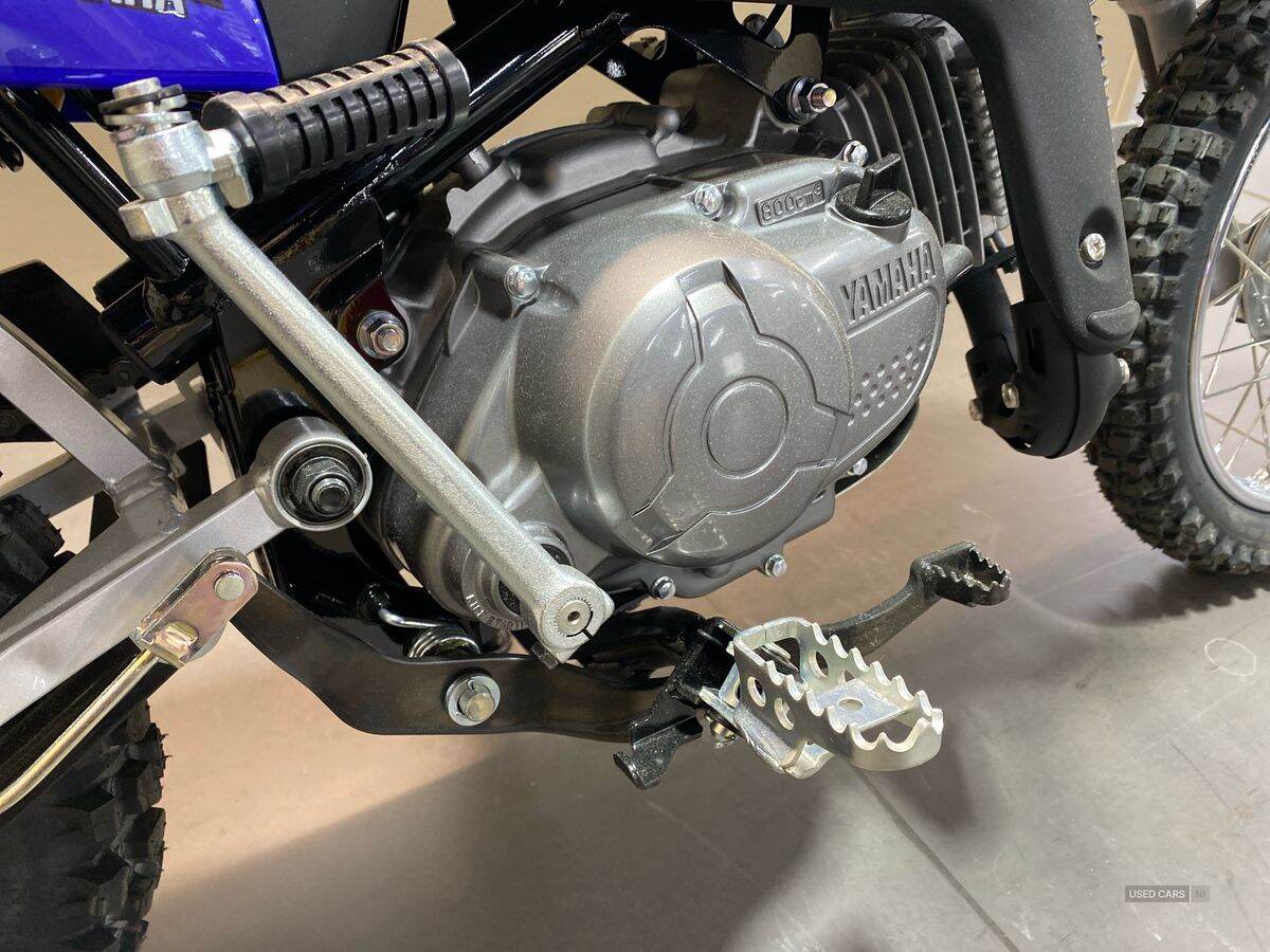  2024 Yamaha TTR Series New TTR-110 24MY, Monster Edition