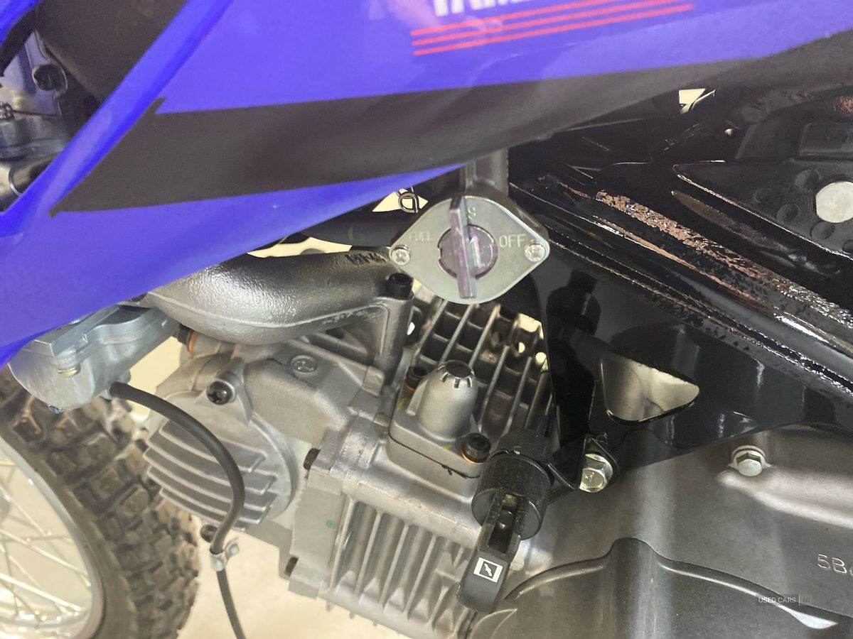  2024 Yamaha TTR Series New TTR-110 24MY, Monster Edition