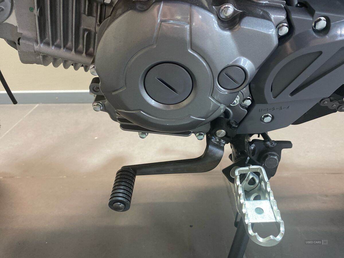  2024 Yamaha TTR Series New TTR-110 24MY, Monster Edition