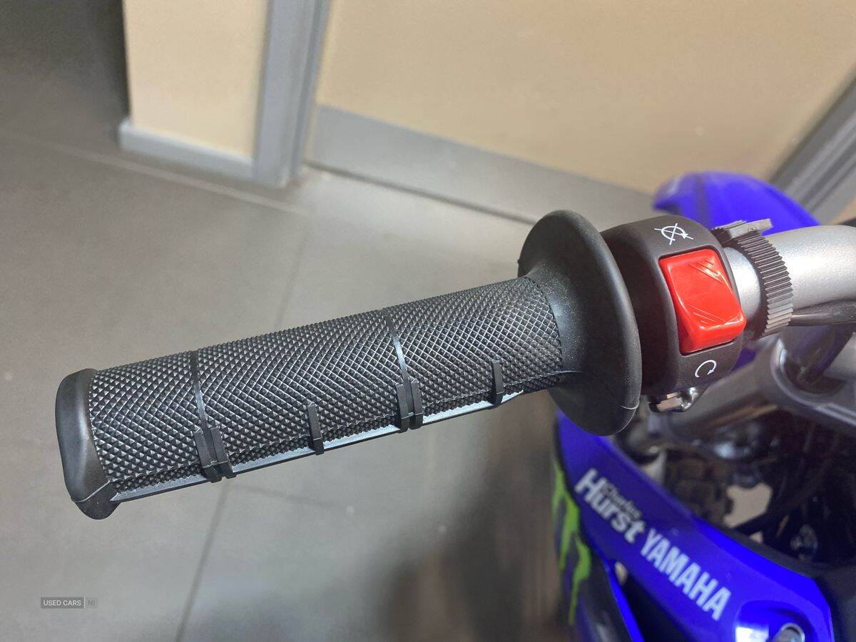  2024 Yamaha TTR Series New TTR-110 24MY, Monster Edition
