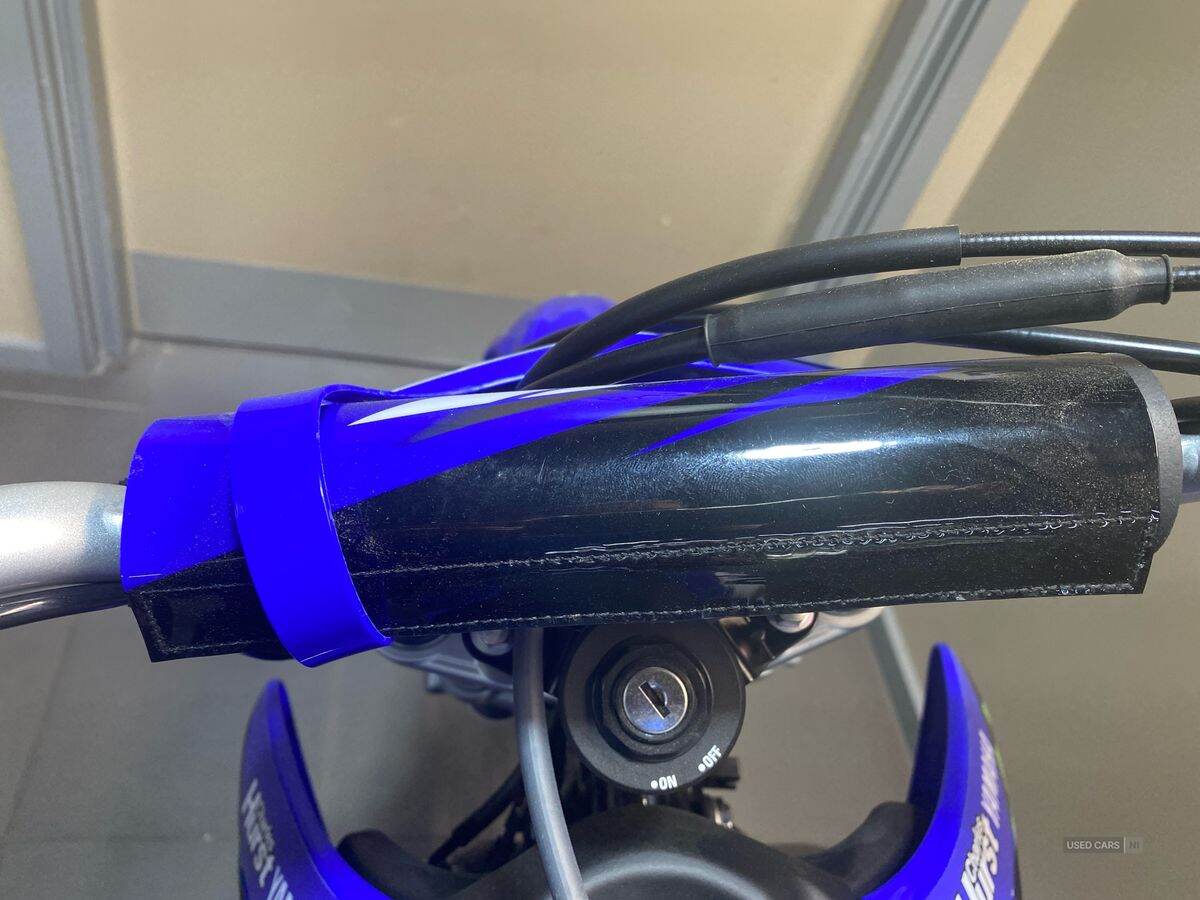  2024 Yamaha TTR Series New TTR-110 24MY, Monster Edition