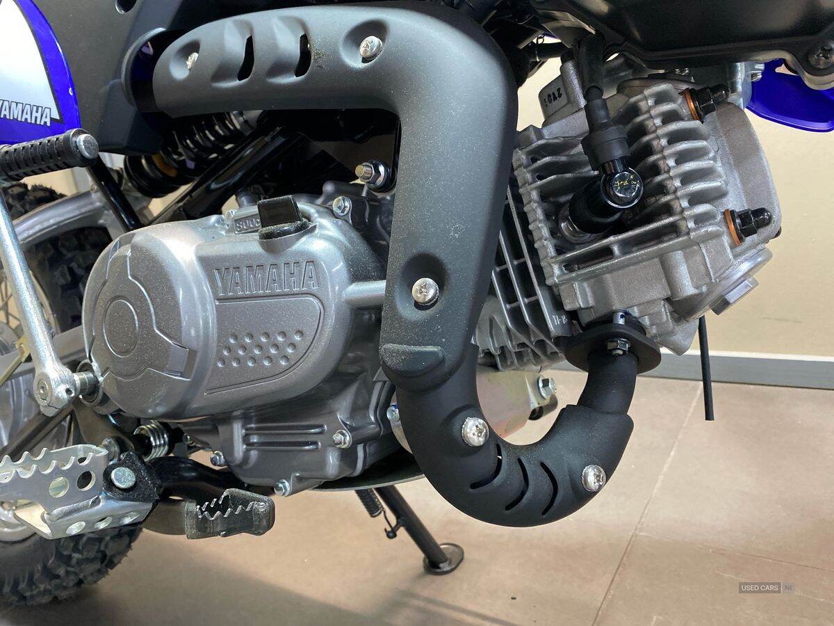  2024 Yamaha TTR Series New TTR-110 24MY, Monster Edition