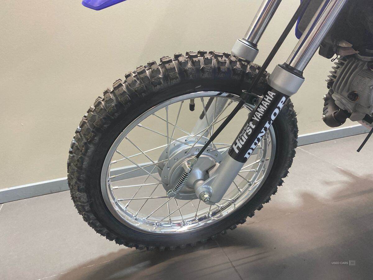  2024 Yamaha TTR Series New TTR-110 24MY, Monster Edition