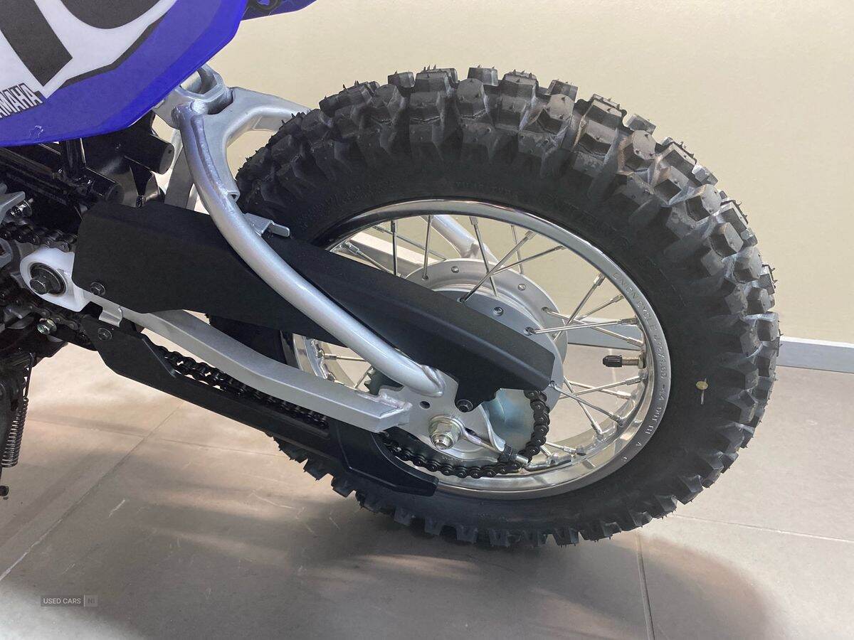  2024 Yamaha TTR Series New TTR-110 24MY, Monster Edition
