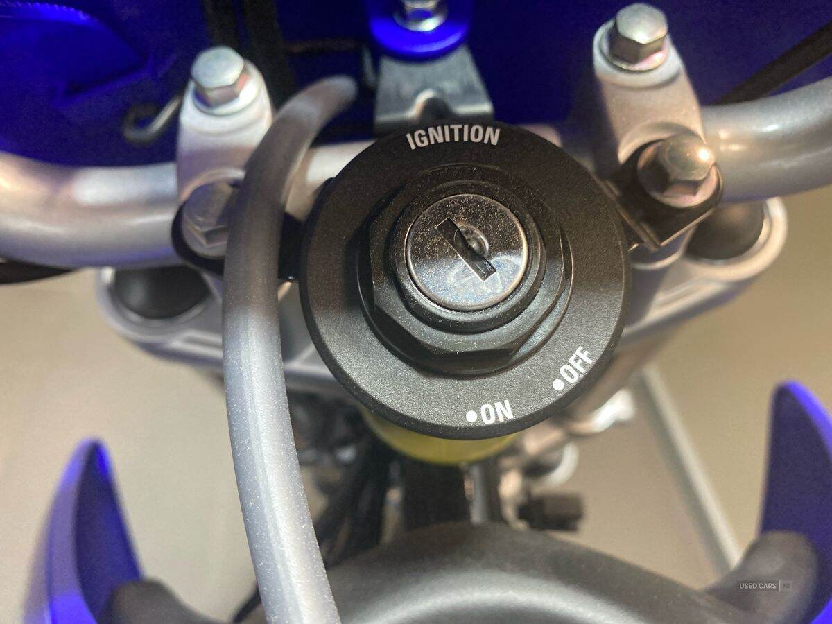  2024 Yamaha TTR Series New TTR-110 24MY, Monster Edition