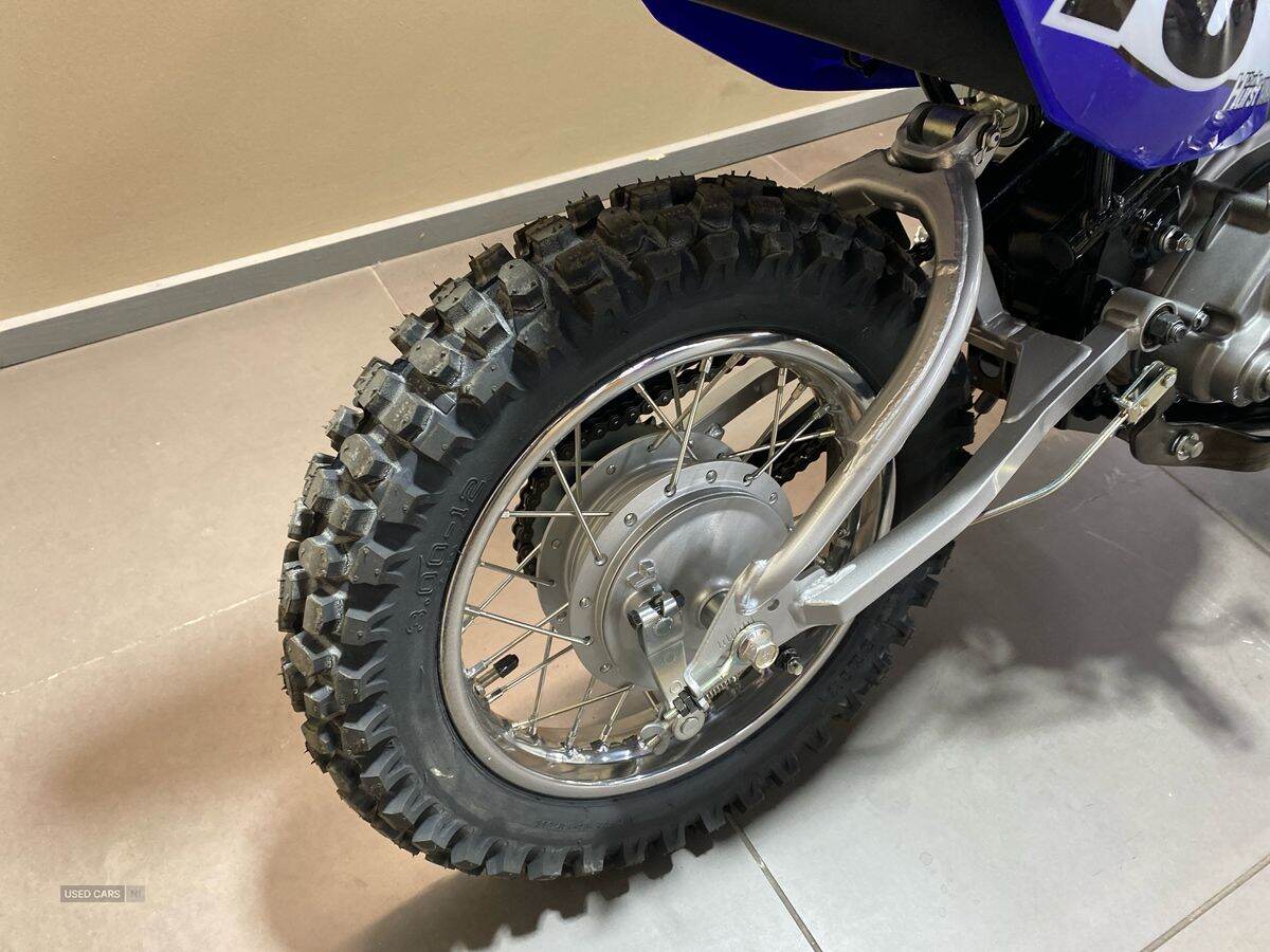  2024 Yamaha TTR Series New TTR-110 24MY, Monster Edition