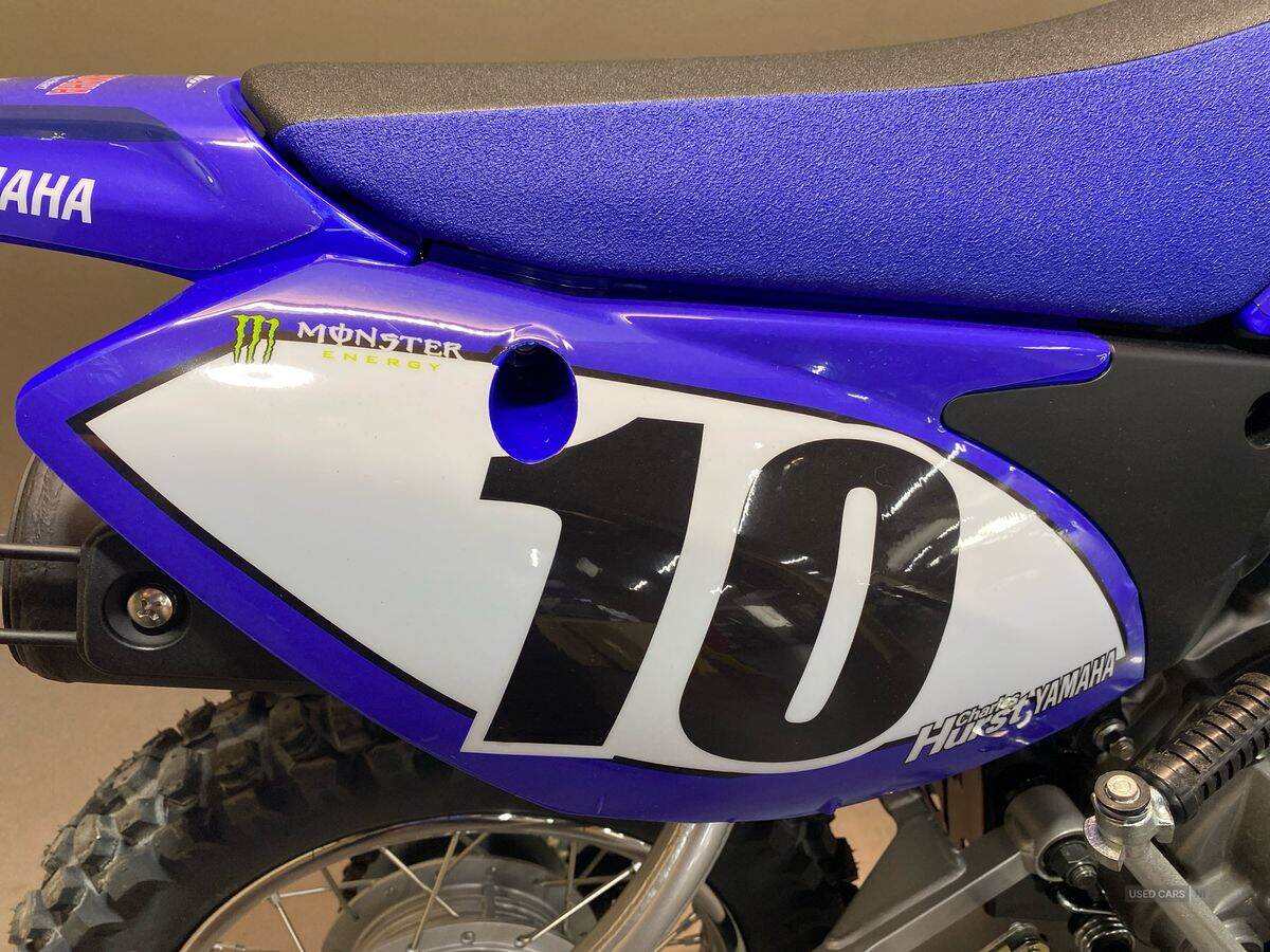  2024 Yamaha TTR Series New TTR-110 24MY, Monster Edition